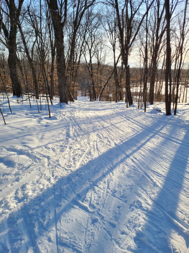 Skiers on the trail 5