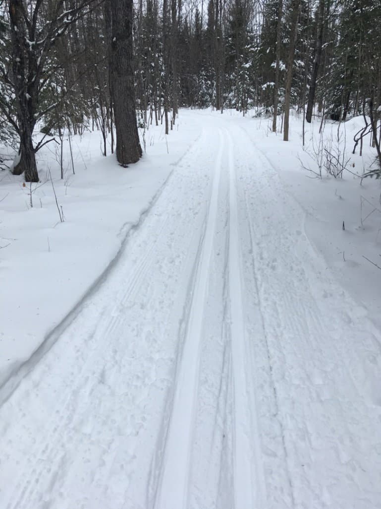 Skiers on the trail 1