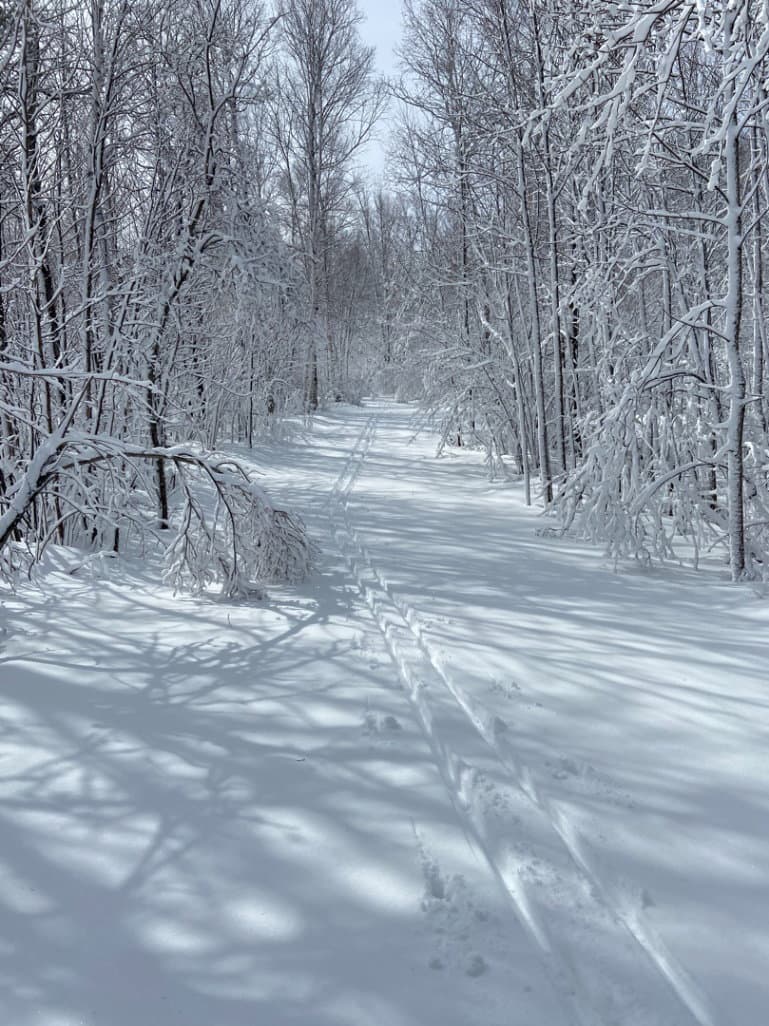 Skiers on the trail 2