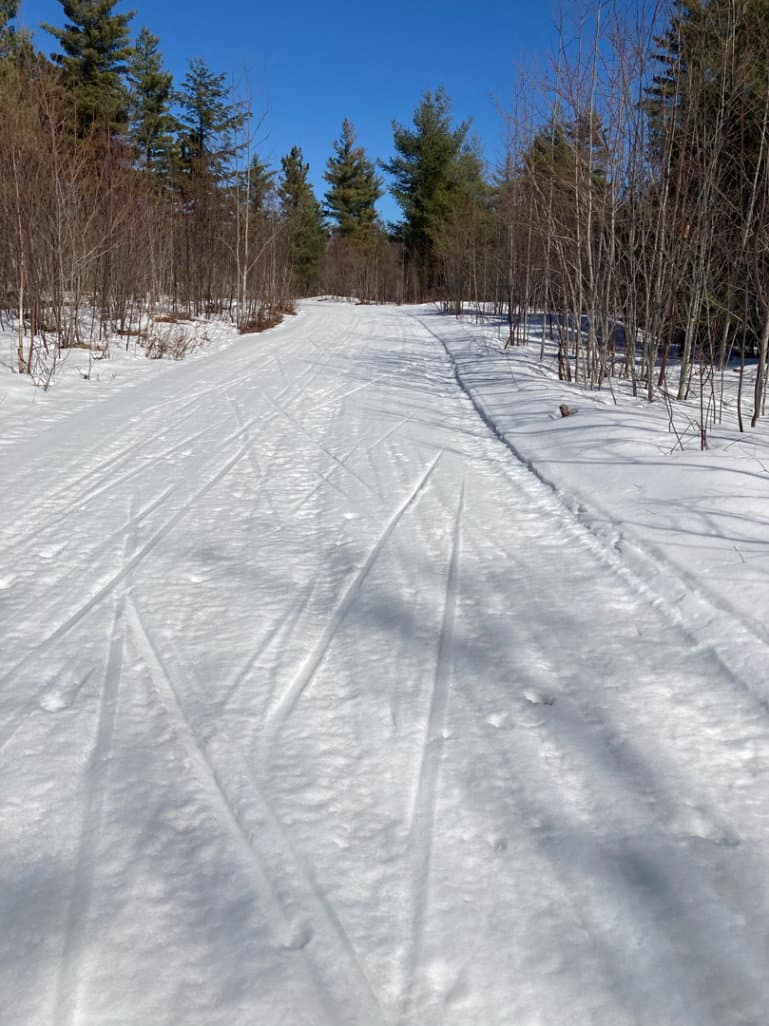 Skiers on the trail 4
